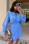 Blue Stripe Mini Miley Shirt Dress