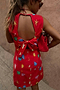 Red Shell Ioana Mini Dress